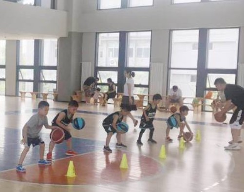 篮球训练法读后感怎么写_0